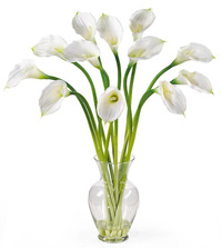 Silk Calla Lily Stems in Glass Vase