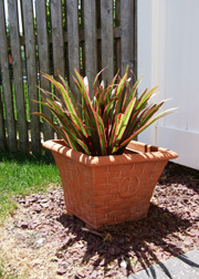 Faux foliage plant outdoors