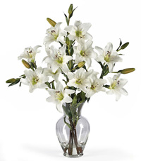 White Lily Stems in Artificial Water